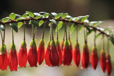佛山三水区4私人快速借钱网，轻松解决资金难题