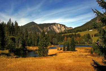 佛山三水区4民间私贷攻略：揭秘低成本借贷的秘密