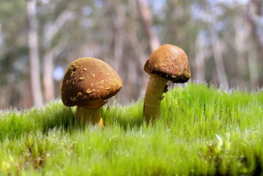 佛山三水区4私人老板放款：轻松融资的秘密通道